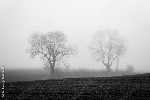 Wallpaper Mural Early spring in Latvia, fields, rivers and landscapes Torontodigital.ca