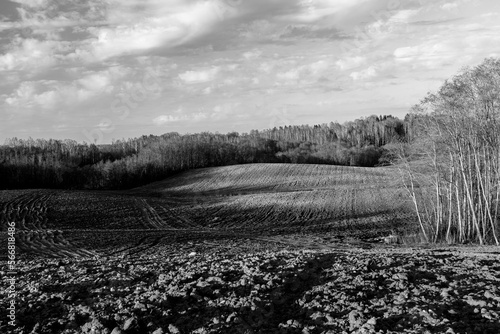 Wallpaper Mural Early spring in Latvia, fields, rivers and landscapes Torontodigital.ca