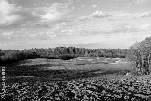 Wallpaper Mural Early spring in Latvia, fields, rivers and landscapes Torontodigital.ca