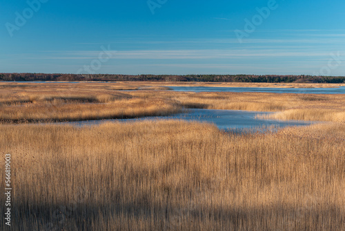 Wallpaper Mural Early spring in Latvia, fields, rivers and landscapes Torontodigital.ca