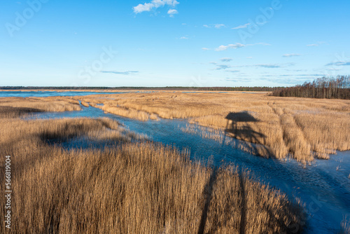 Wallpaper Mural Early spring in Latvia, fields, rivers and landscapes Torontodigital.ca