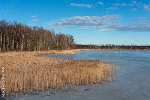 Wallpaper Mural Early spring in Latvia, fields, rivers and landscapes Torontodigital.ca
