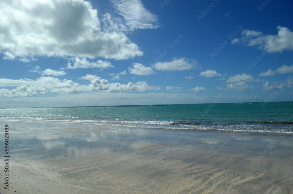 Fantastic Beach, Alagoas Brazil.