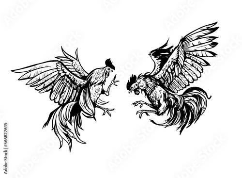 Rooster fighing, angry, hand drawn vector sketch illustration. Black on Transparent background