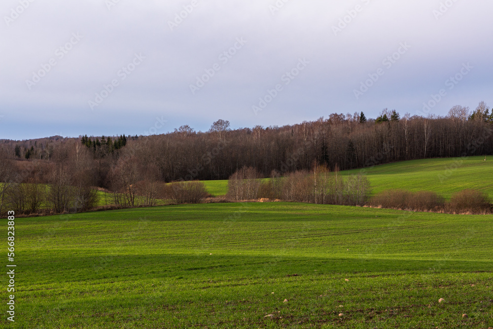 Fototapeta premium Spring in the Latvian countryside