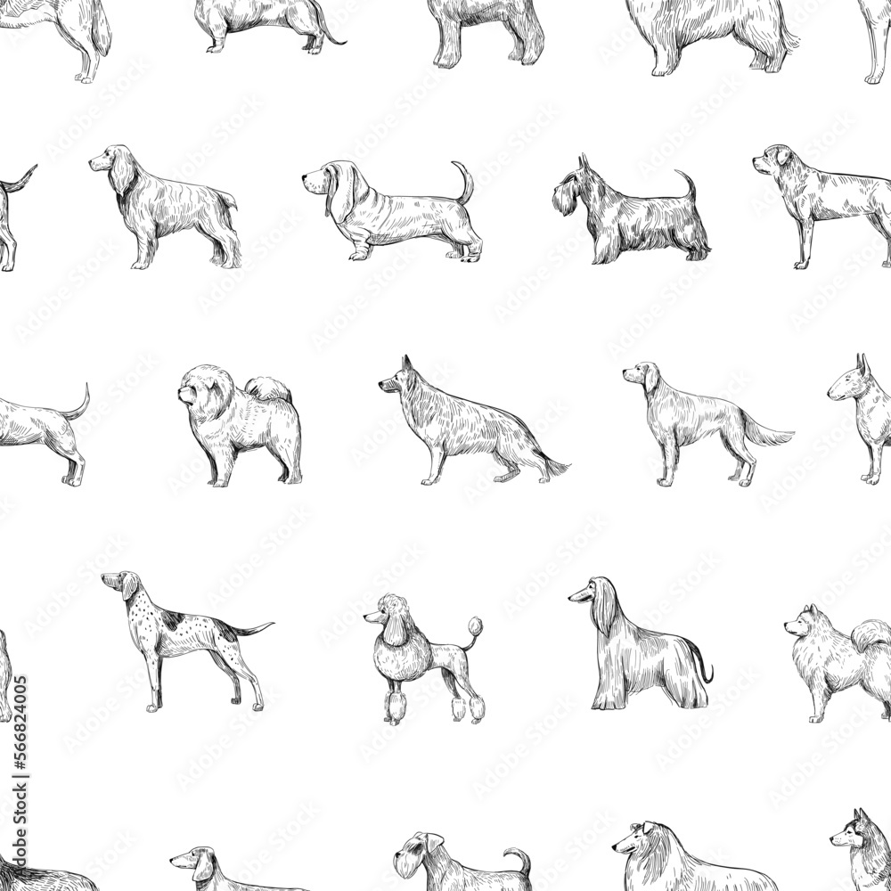 Dog breed set, seamless pattern design, hand drawn vector illustration, black sgape on transparent background