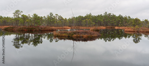 autumn landscapes of swamp lakes