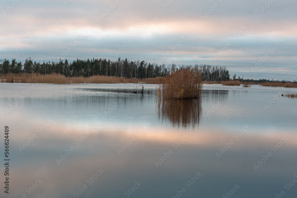 autumn landscapes of swamp lakes autumn landscapes of swamp lakes