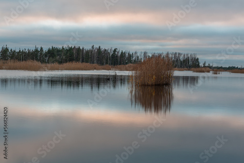 autumn landscapes of swamp lakes © EriksZ