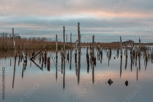 Wallpaper Mural Early spring in Latvia, fields, rivers and landscapes Torontodigital.ca