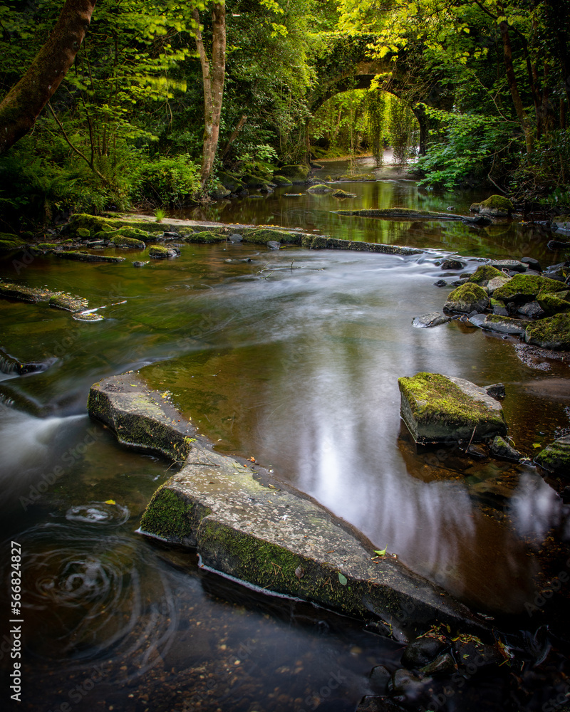 Fototapeta premium A bridge over the river Barrow passing through rocks, Slieve Bloom Mountains, Laois, Ireland