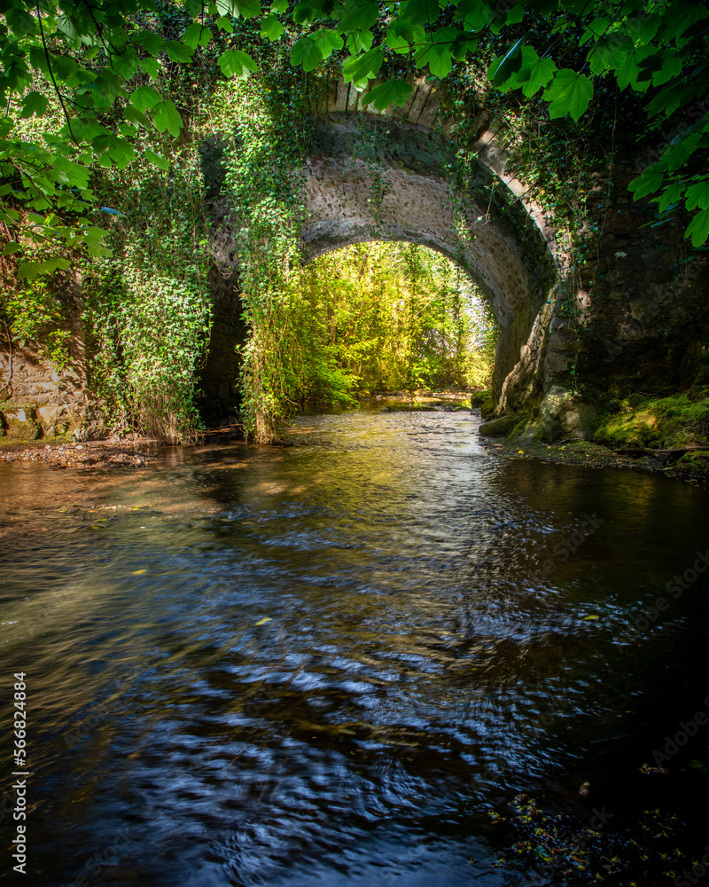 A bridge over the river Barrow, Slieve Bloom Mountains, Laois, Ireland A bridge over the river Barrow, Slieve Bloom Mountains, Laois, Ireland