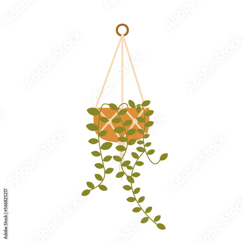 macrame hangers for plants growing in pots, macrame plant hanger, hanging plant, planter, boho deco, flat illustration of a plant