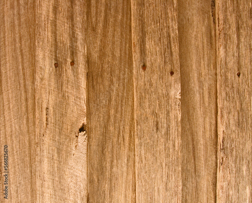 wood timber background