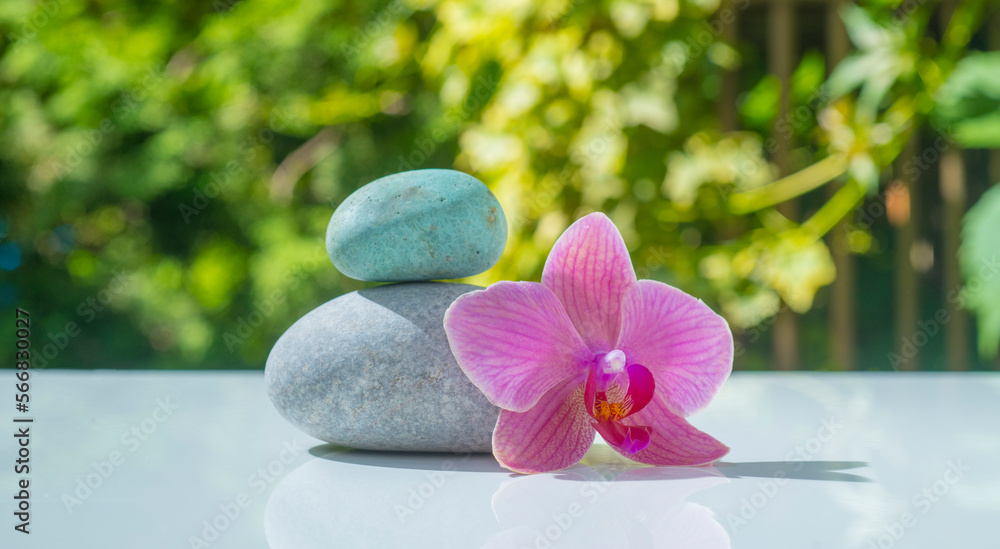 spa still life with orchid and zen stone spa still life with orchid and zen stone