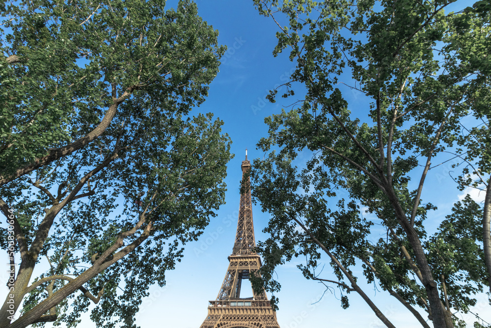 Eifel Tower appears between the trees 