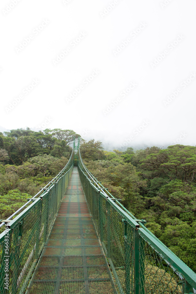 Obraz premium bridge in the fog