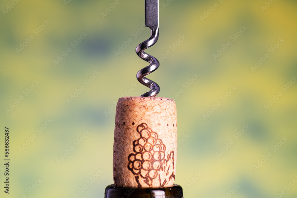 Corkscrew pulls out a cork from the bottle of wine. Close-up, Blurred background. space for text. Corkscrew pulls out a cork from the bottle of wine. Close-up, Blurred background. space for text.