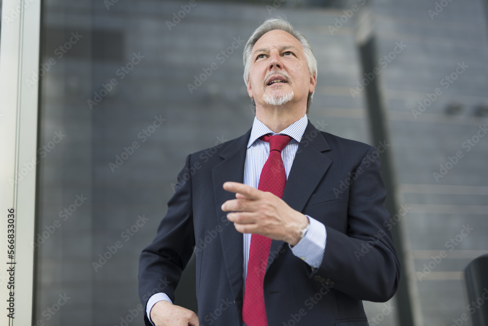 Handsome mature businessman portrait Handsome mature businessman portrait