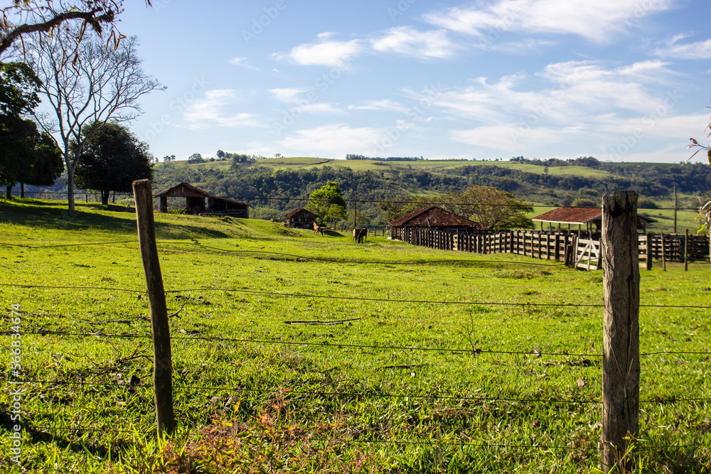 rural landscape, with barn and horses, in Brazil