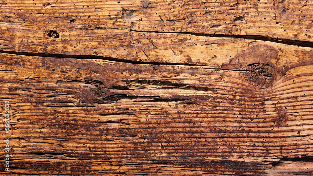 wood grain tree background texture backdrop wood grain tree background texture backdrop
