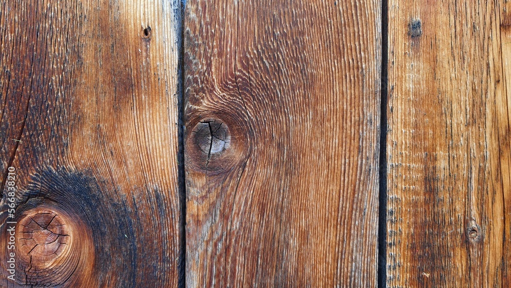 wood grain tree background texture backdrop wood grain tree background texture backdrop