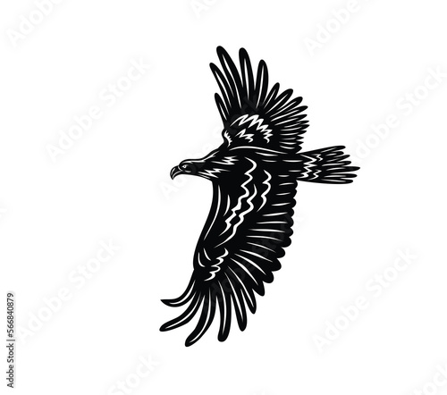 Eagle Icon Silhouette, art vector design