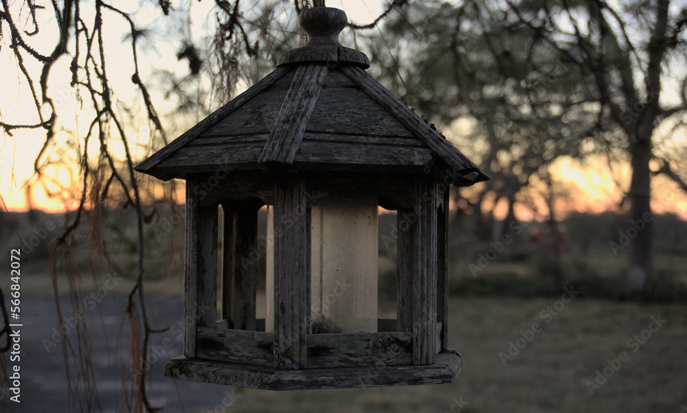 old feeder in the sunset
