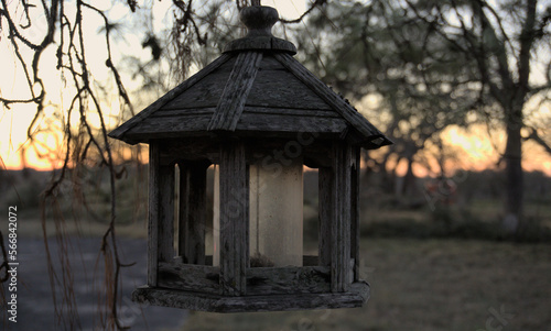 old feeder in the sunset © Moises
