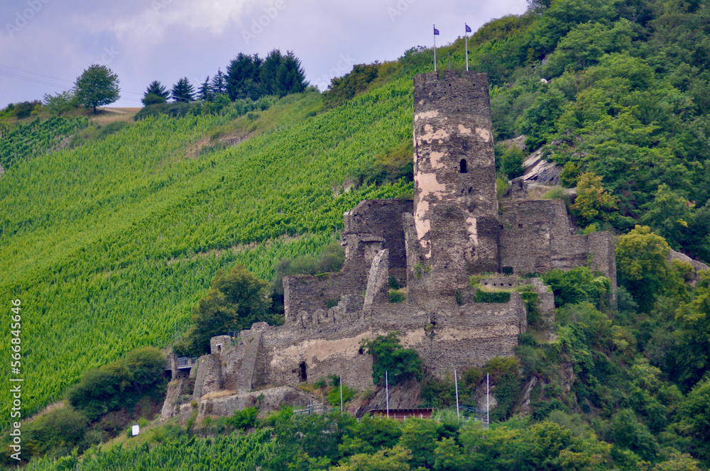 Fototapeta premium Castle on the Rhine
