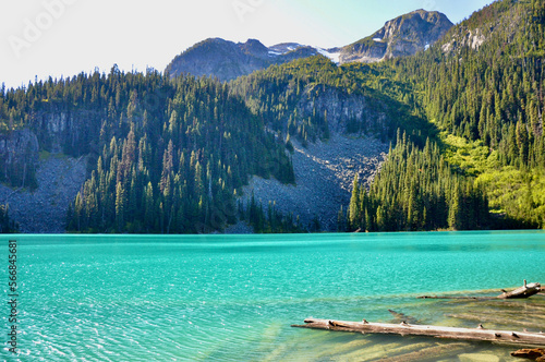 Very green Joffrey Lake photo