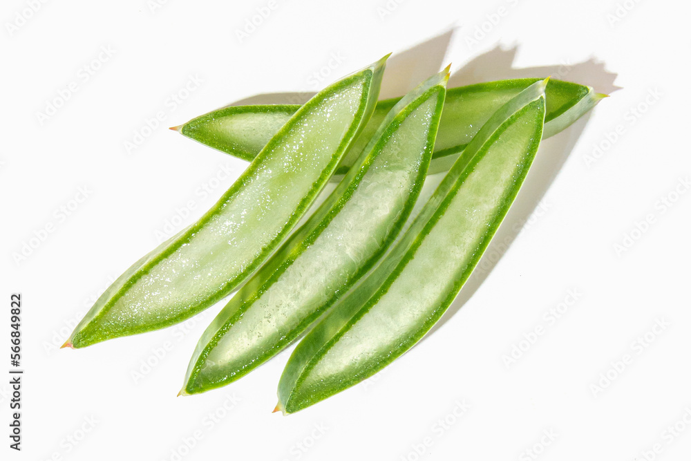 Fresh sliced aloe vera isolated on white background. Fresh sliced aloe vera isolated on white background.