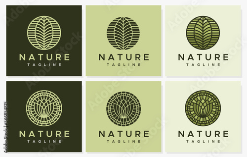 Modern nature leaf line logo vector template.