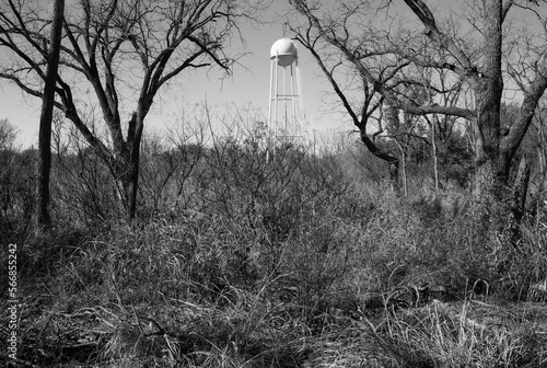 Morning in the forest black and white photo of baren trees and a white water storage tower in Abilene State Park, Texas photo