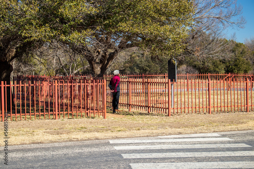 A woman in a red coat with white hair standing under a oak tree in the fall and reading a historical marker at Abilen State Park in Texas