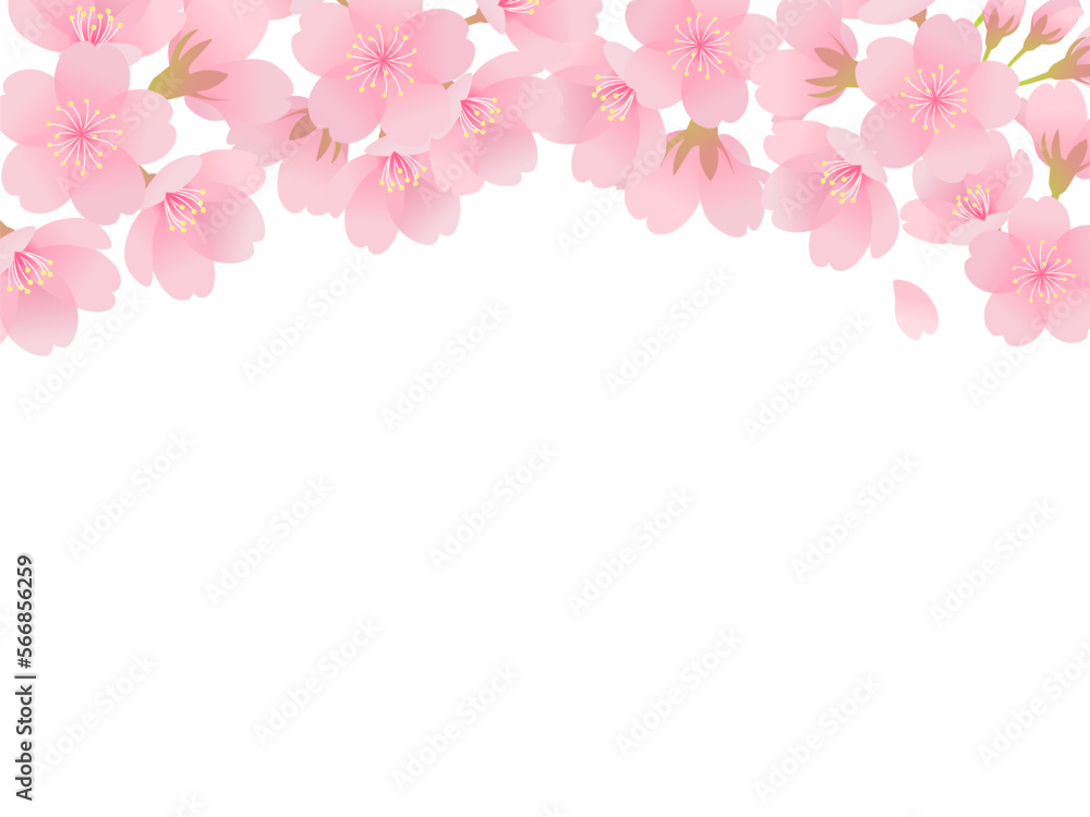 満開の桜フレーム_ベクターイラスト