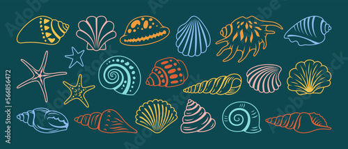 Sea shell sink doodle cartoon set. Ocean ornamental exotic underwater seashell conch aquatic mollusk, sea spiral snail marine starfish line symbol collection. Beach shells aquatic design illustration