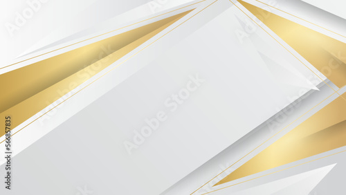 Light grey premium vector illustration. Abstract modern futuristic 3D gold curve and gold lines with light effect. Curved lines background