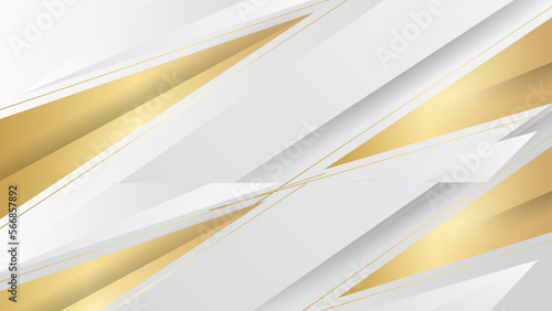 Light grey premium vector illustration. Abstract modern futuristic 3D gold curve and gold lines with light effect. Curved lines background