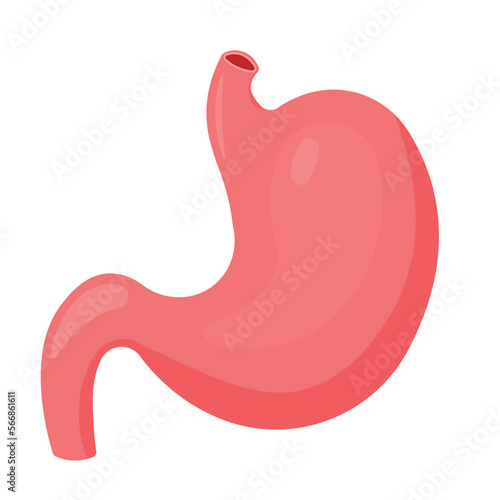 Stomach Icon for Human Anatomy Organ Symbol Vector Illustration