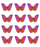 Set of tropical orange purple colorful butterflies for print