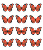 Set of tropical orange monarch butterflies for print