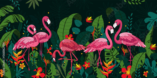 Tropical Flamingos