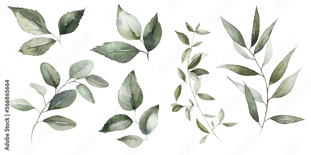 Watercolor floral bouquet branches with green pink blush leaves, for wedding invitations, greetings, wallpapers, fashion, prints. Eucalyptus, olive green leaves.