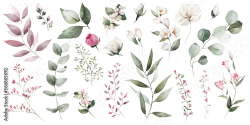Stampa su tela Watercolor floral illustration bouquet set - green leaves, pink peach blush white flowers branches