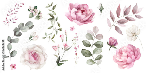 Watercolor floral illustration elements set - green leaves, pink peach blush white flowers, branches. Wedding invitations, greetings, wallpapers, fashion, prints. Eucalyptus, olive, peony, rose.