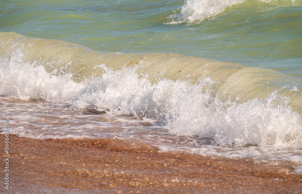 Fototapeta premium Soft wave of the sea on the sandy beach.