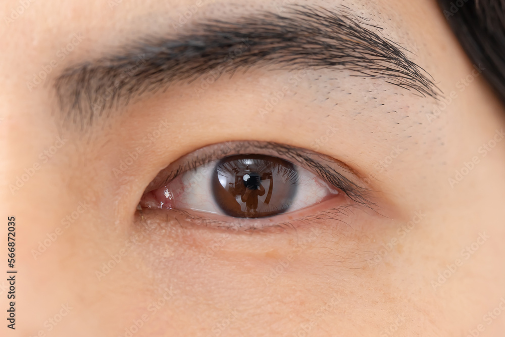 Fototapeta premium 目・男性