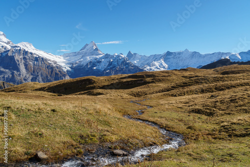 Alpine stream meanders through the landscape above the treeline with snowy peaks in the distance