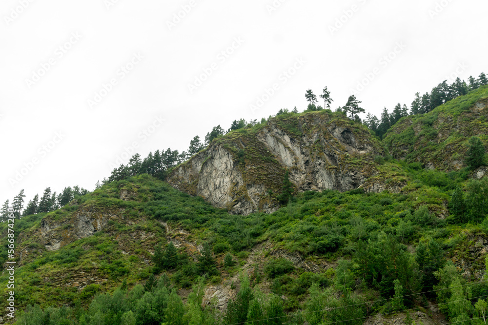 Summer landscape. Rocky mountain slope covered with forest